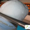 Otyliada_Myszkow_141