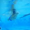 Otyliada_Lancut_23